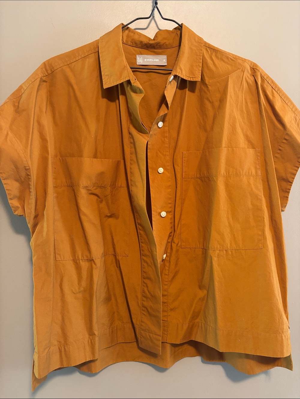 Everlane Men's Short-Sleeve Button-Down Shirt in Rust Orange